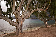 The beach near Sami