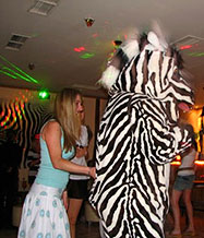 Zebra Bar Kefalonia